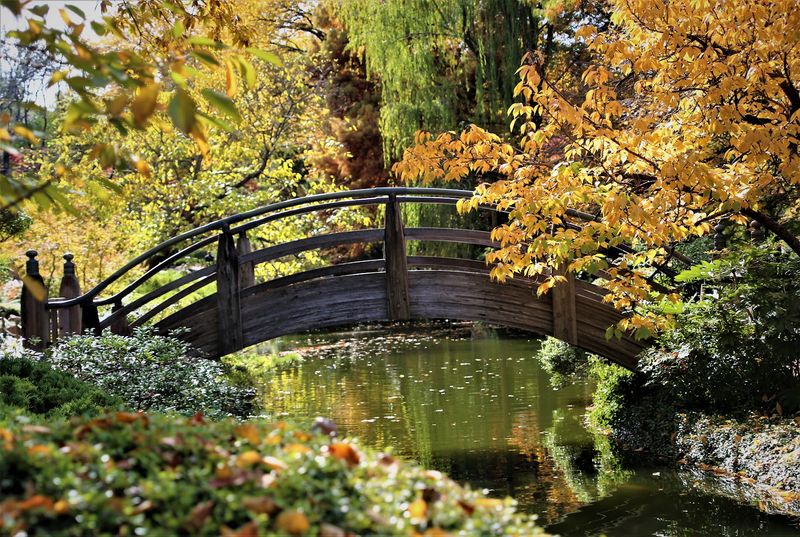 Fort Worth Botanic Garden