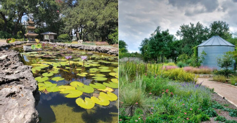 The Ultimate Texas Botanical And Public Gardens Road Trip