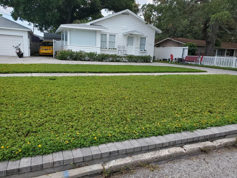 Simple Care Keeps It Looking Full Without Constant Work