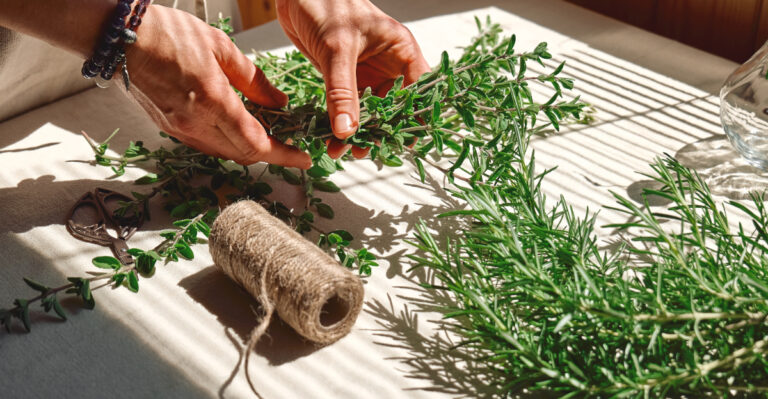 hands full of marjoram