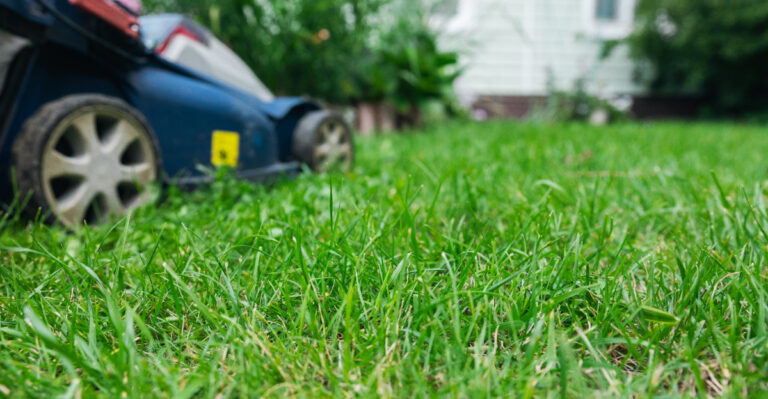 These Are The 7 Lawn Mistakes Ohio Gardeners Make Every May