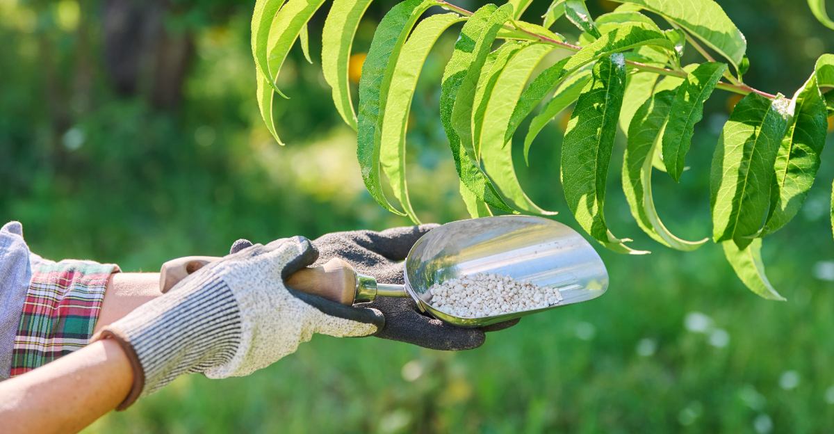 tree (featured image)