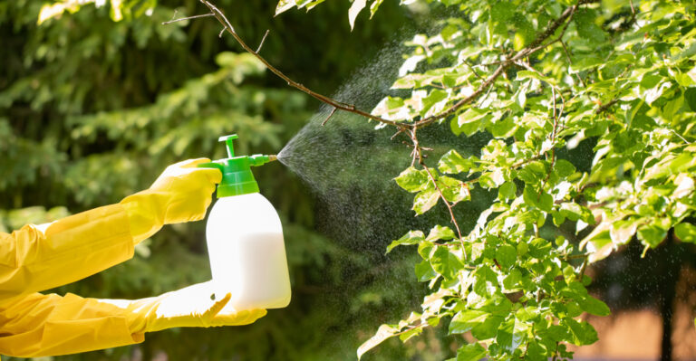 These Garden Chemicals Are Illegal To Use In California