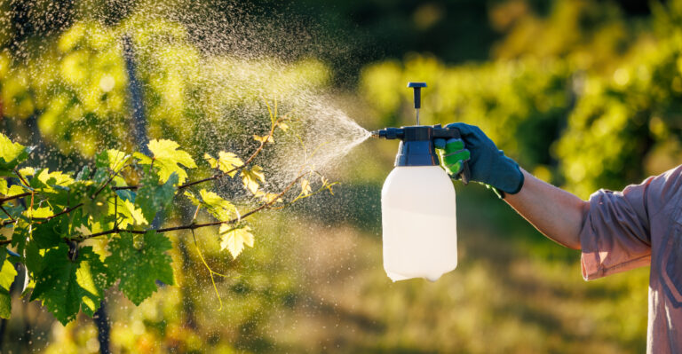 These Garden Chemicals Are Illegal To Use In Oregon