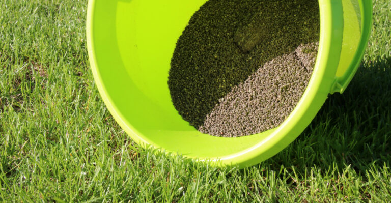 lawn fertilizer