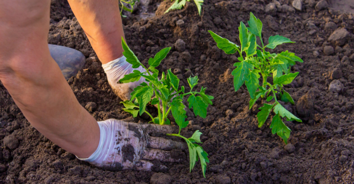 These Spring Garden Trends Don’t Work Well In Oregon