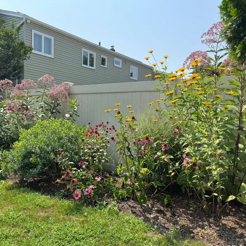 Their Presence Supports A Healthier Garden Ecosystem