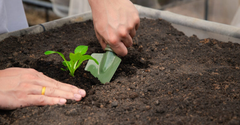 Things Smart Pennsylvania Gardeners Should Do Before April Ends