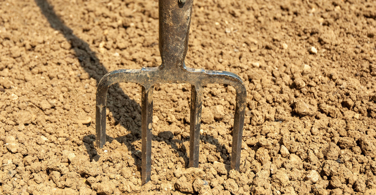 fork in sandy soil