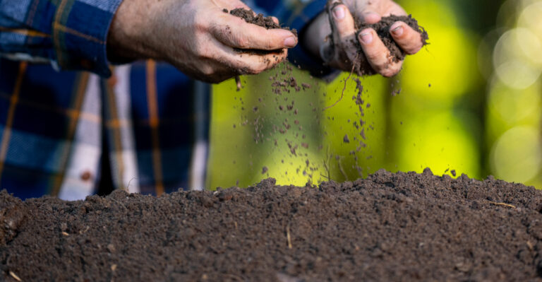 touching soil