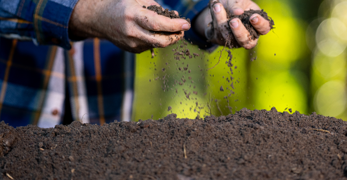 touching soil