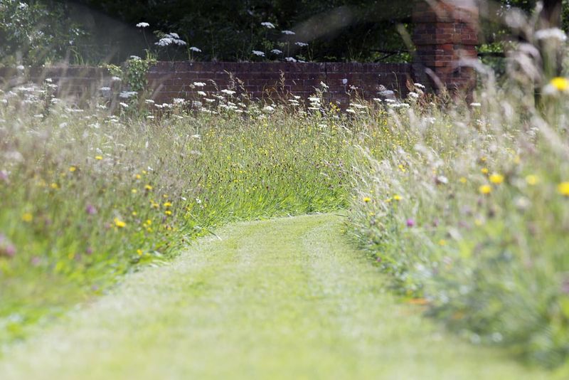 Keep Paths Play Areas And Pet Runs Mowed Short