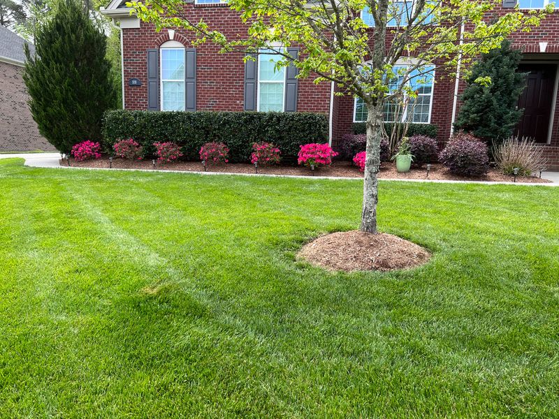 When Hiring A Pro Actually Makes More Sense