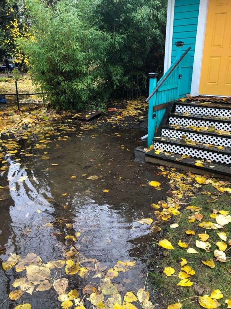 Oregon Spring Weather Loves To Tease