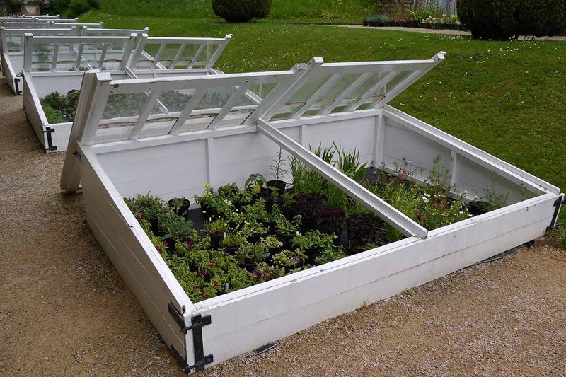 Use Protection Like Cold Frames Early On
