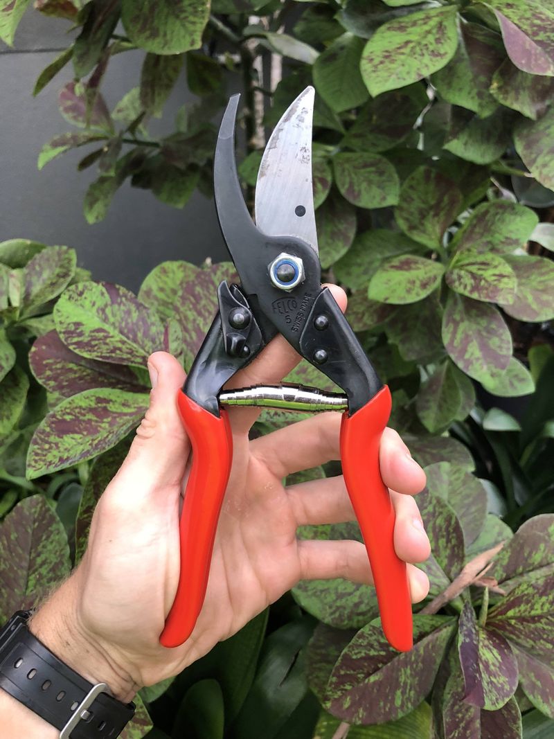 Use Clean Sharp Cuts To Prevent Stress And Infection