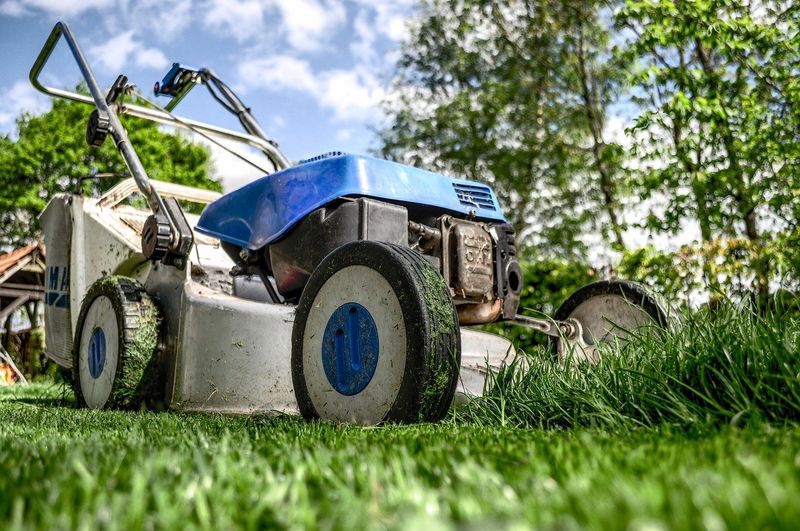 Higher Mowing Often Works Better Than Skipping May