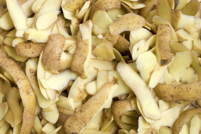 Vegetable Peels Feed The Pile Fast