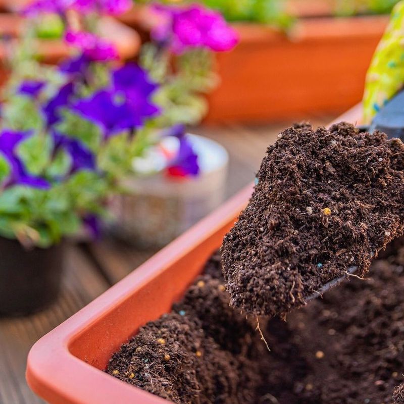 Use As Drainage Or Mulch Holders