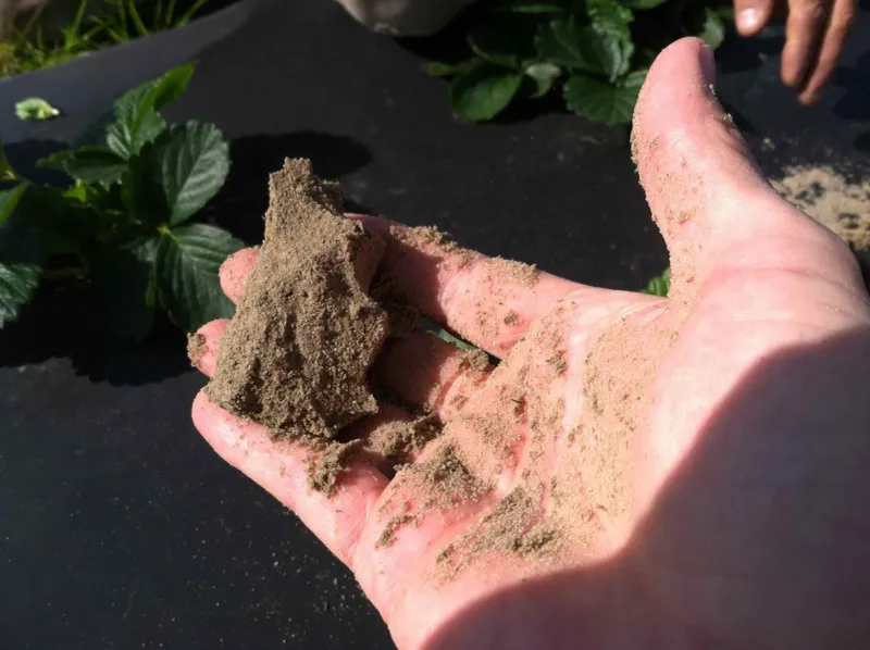 Work Soil Only When It Is Not Too Wet Or Too Dry