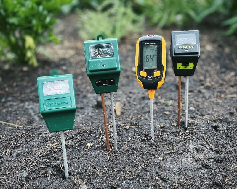 Test Your Soil PH Before Doing Anything Else