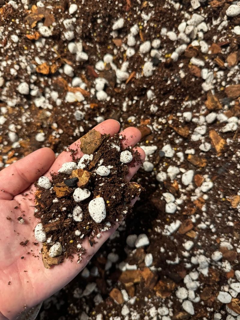 Selecting Well-Draining Soil Mixes For Healthy Roots