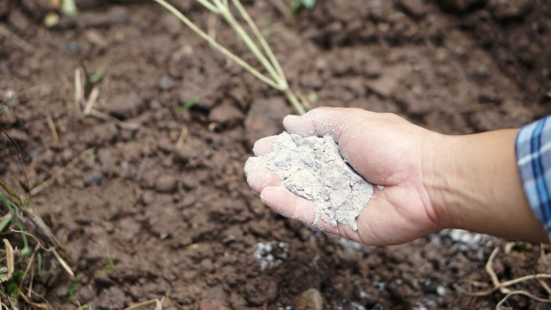Large Amounts Of Lime Without A Soil Test