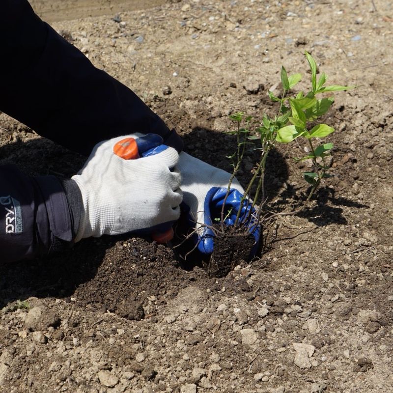 Soil Temperature In Michigan Tells A More Honest Story Than Air Temperature