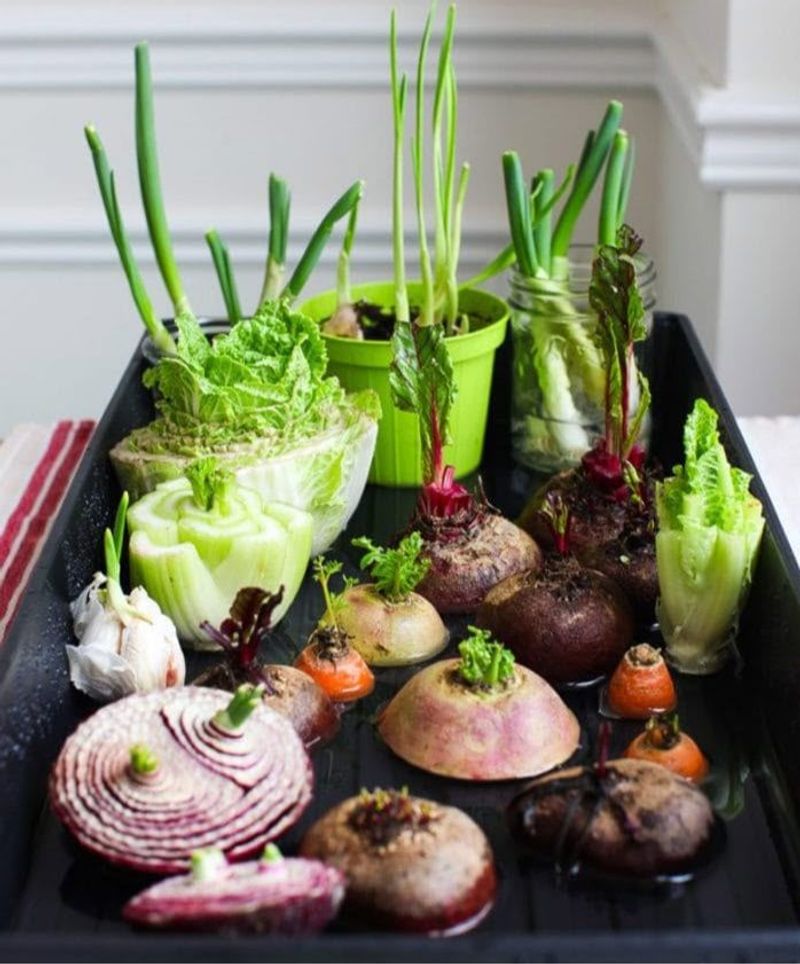 Regrow Vegetables From Scraps For Extra Harvest