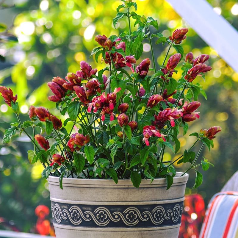 Build It For A Big Bed, A Small Border, Or Even Containers