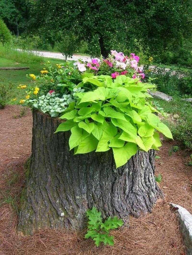 Create A Stump Planter