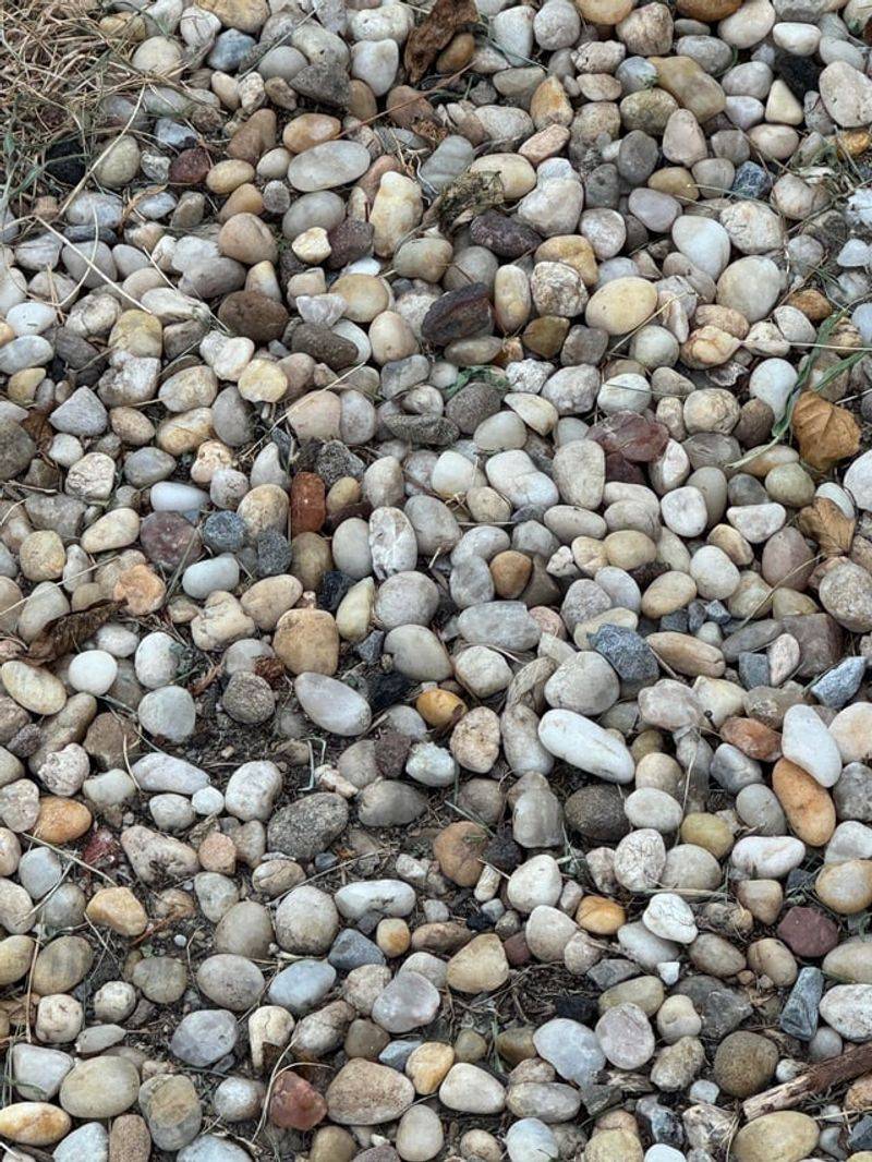 Add Enough Gravel To Block More Weed Growth