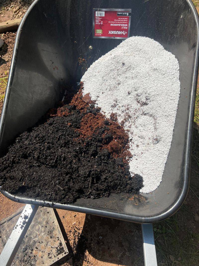 Pick Well Draining Soil To Prevent Root Problems