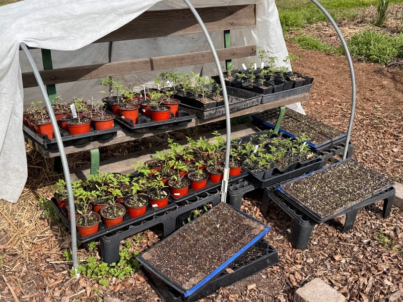 Increase Outdoor Exposure Over 7–10 Days