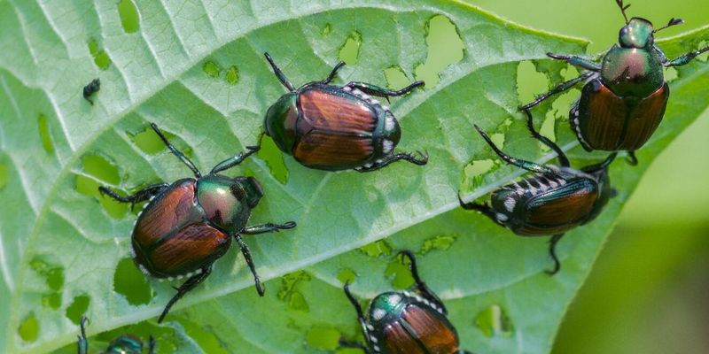 Combine Methods For Better Control