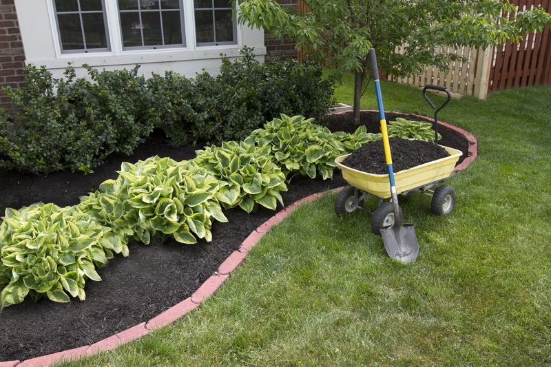 Keep Turf Separate From Shrubs, Perennials, And Trees