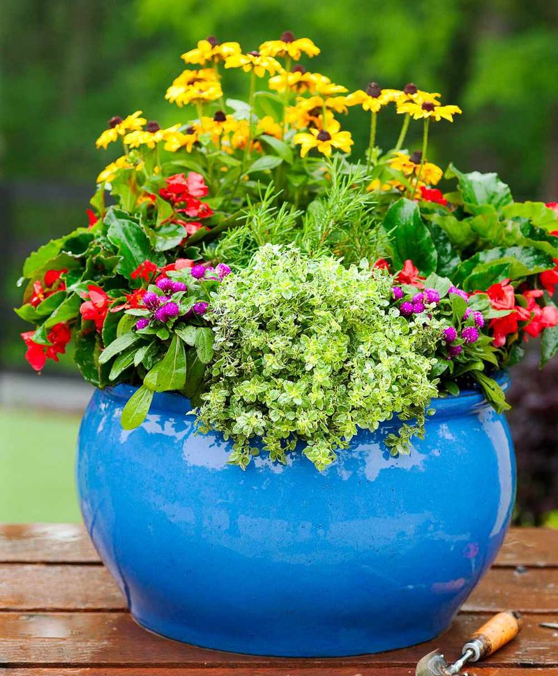 Mix Plants For Continuous Bloom All Season