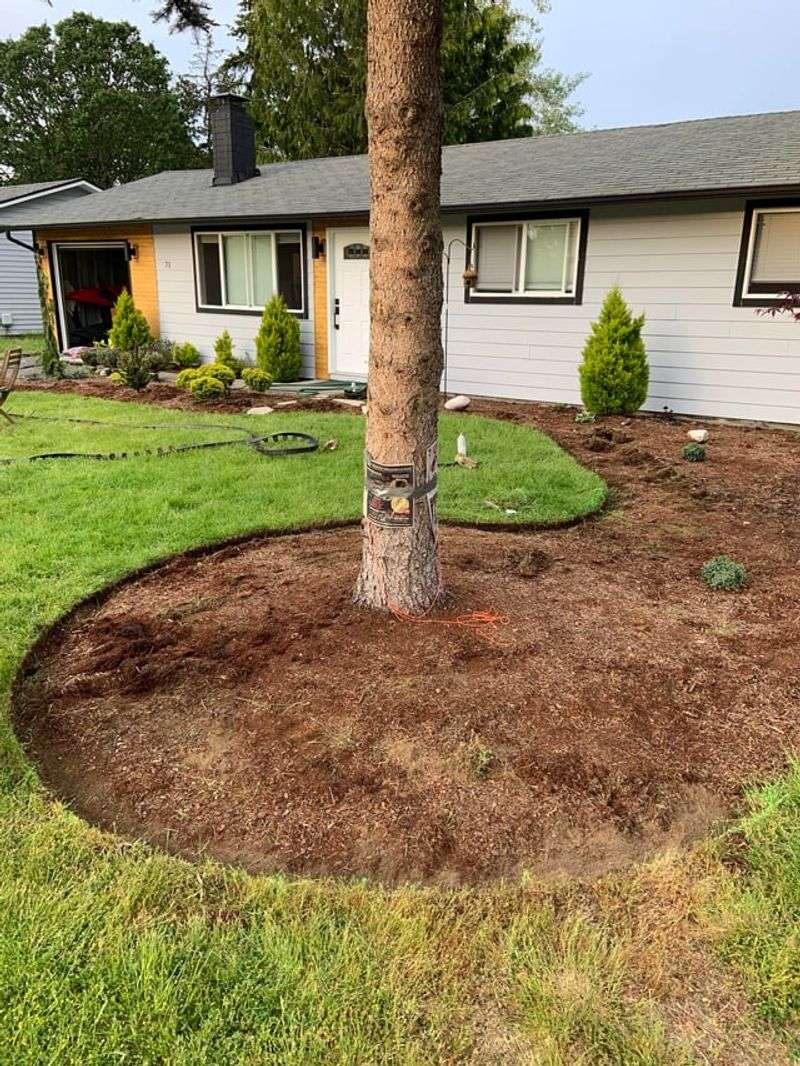 Edge The Bed To Make The Whole Yard Look Sharper