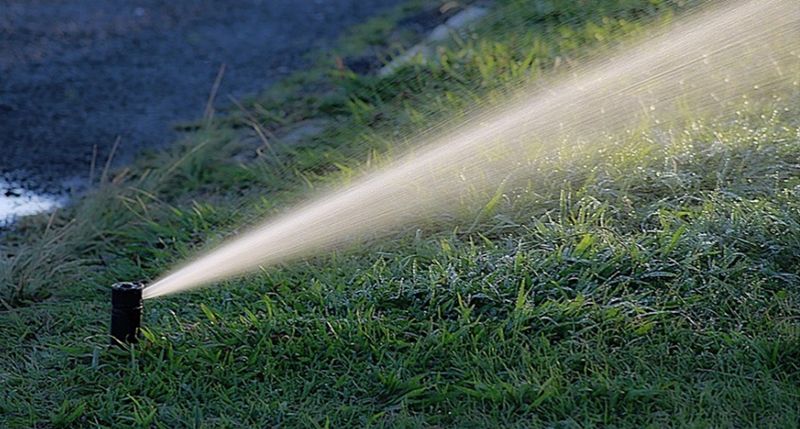 Watering Lightly Instead Of Soaking The Root Zone