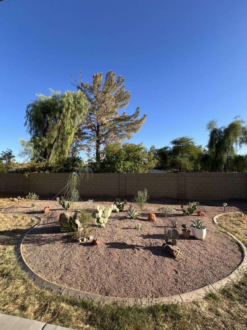 Skipping Mulch In Full Sun Areas