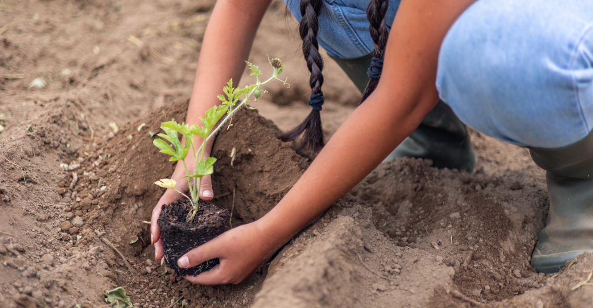 Vegetables Florida Gardeners Should Start In April