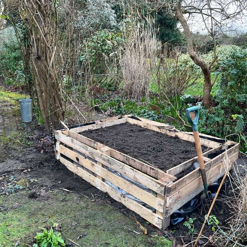 Raised Garden Bed For Easy Growing