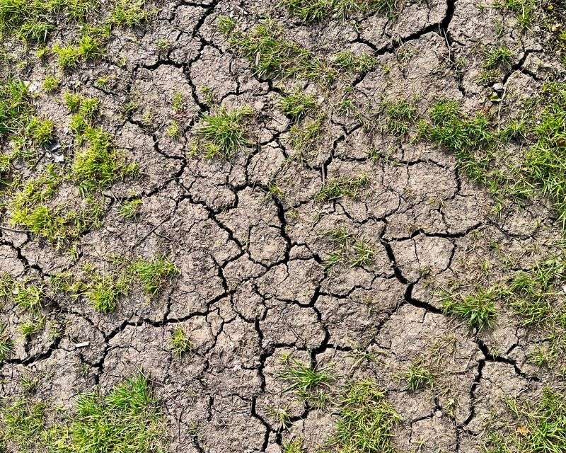 Heat And Dry Spells Make It Worse