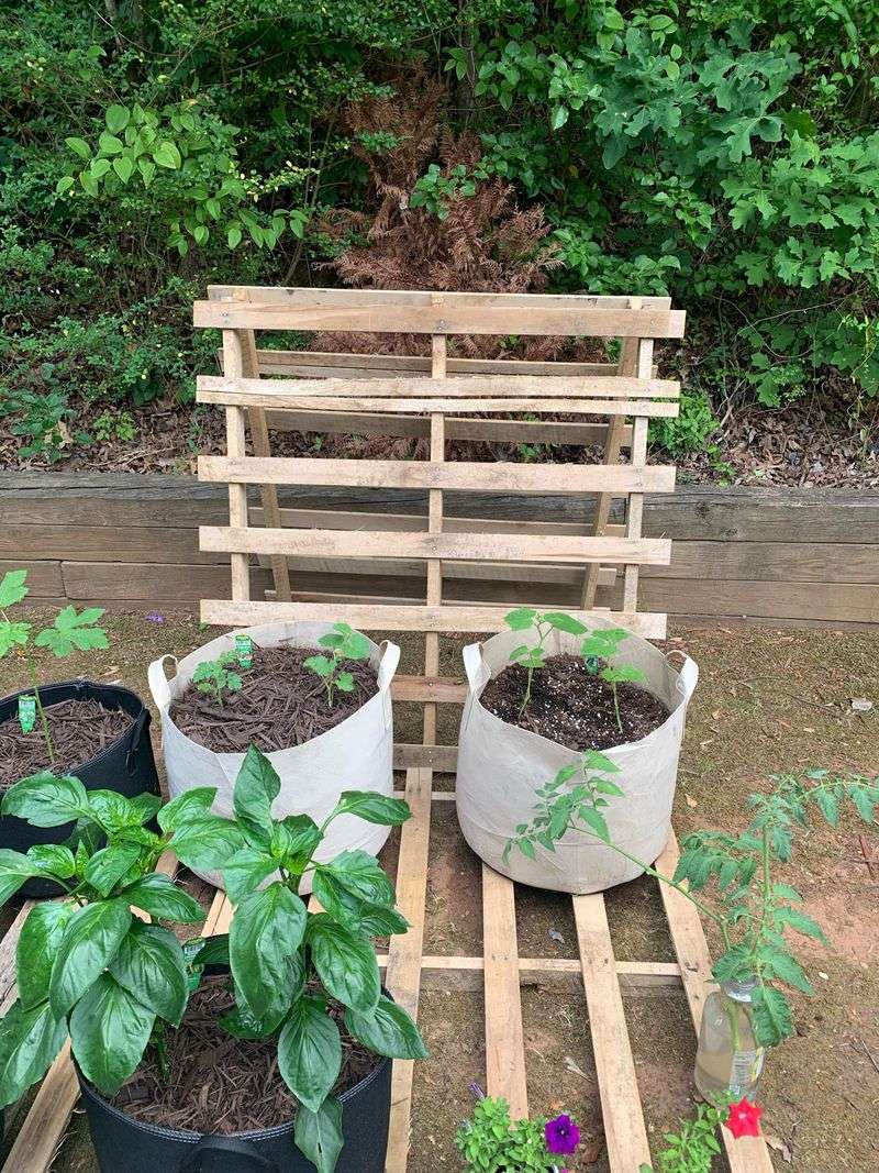Place The Pallet Securely And Plant At The Base