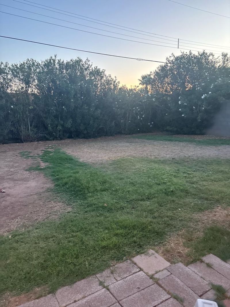 Aerate And Patch Bare Spots Once Soil Warms Further