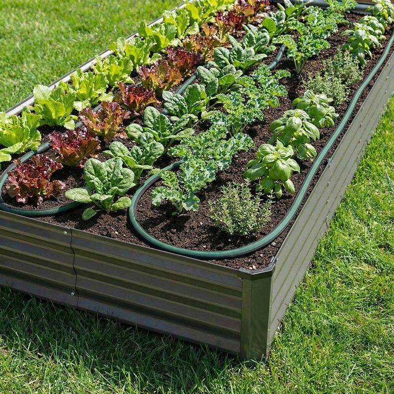 Plan For Drip Or Soaker Hose Watering