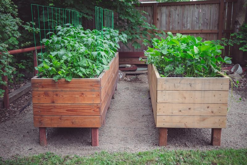 Build Raised Beds Or Mounded Rows