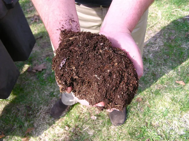 Adding Organic Matter Helps Restore Damaged Soil Over Time