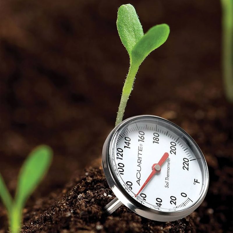 The Soil Temperature Sign Georgia Gardeners Often Miss