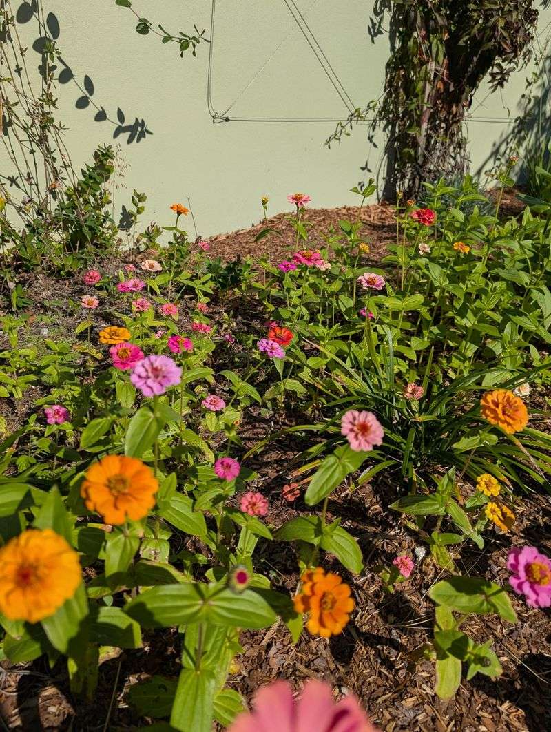 April Planting Leads To Early Summer Blooms